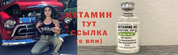 сатива Заволжье