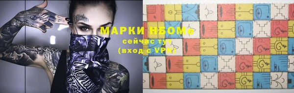 индика Заволжск