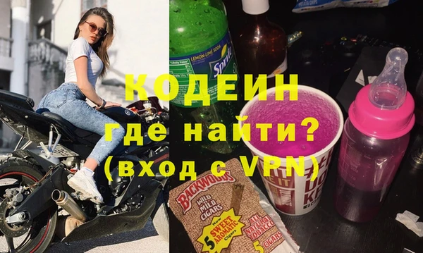 индика Заволжск