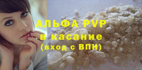 крисы Елабуга