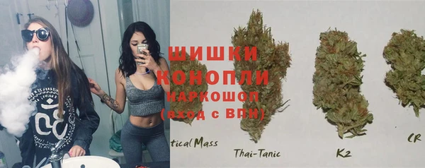 МДМА Заводоуковск