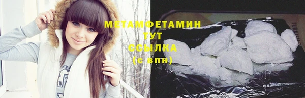 индика Заволжск