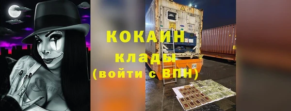 сатива Заволжье