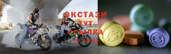 индика Заволжск