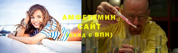 сатива Заволжье