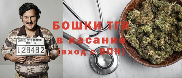 индика Заволжск