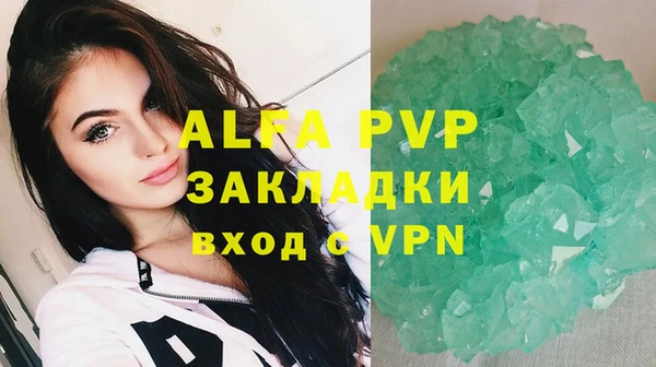 сатива Заволжье