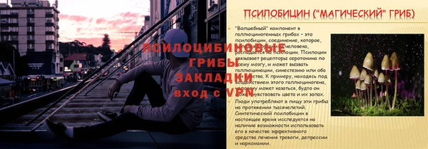 индика Заволжск