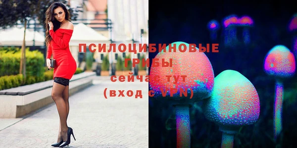 герыч Елизово