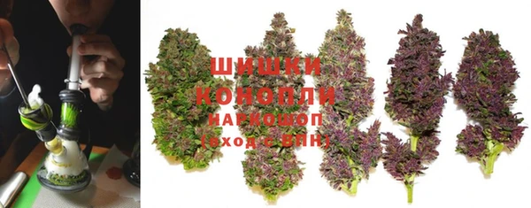 сатива Заволжье