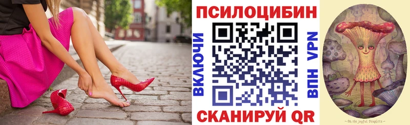 Купить  Моздок  Псилоцибиновые грибы Psilocybine cubensis 